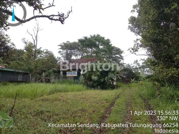 TANAH LUAS DAERAH PEGUNUNGAN BUKIT. BONUS RUMAH