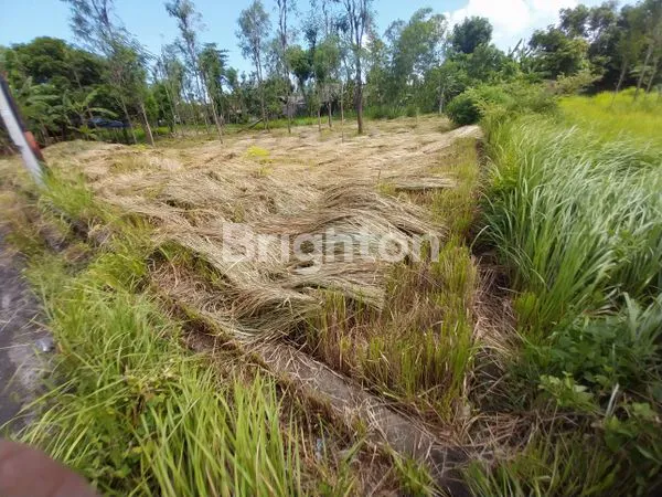 image TANAH PREMIUM DILINGKUNGAN VILLA DI JIMBARAN (6)