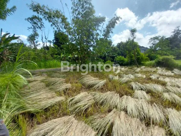 image TANAH PREMIUM DILINGKUNGAN VILLA DI JIMBARAN (8)