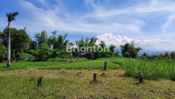 image TANAH JOYOAGUNG MALANG (2)