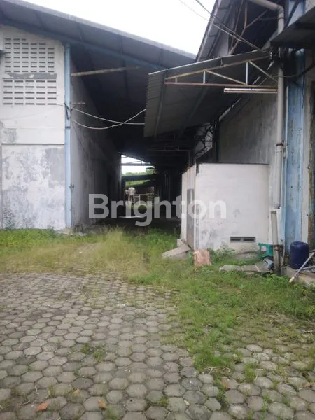 image GUDANG BEKAS PABRIK (7)