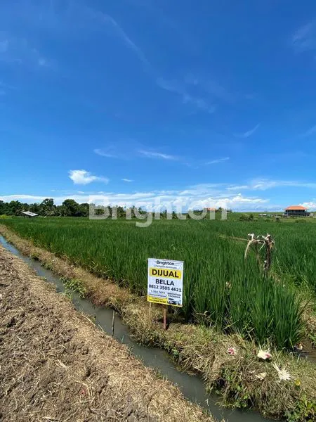 FOR SALE RIVER FRONT LAND - TANAH DI TABANAN