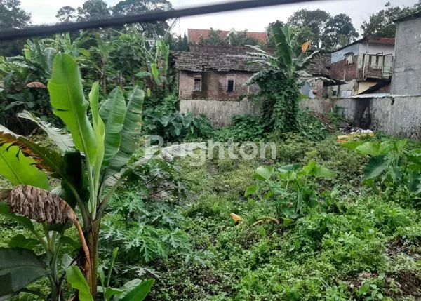 image TANAH PRIGEN DI JALAN PUTUK TRUNO, DEKAT PARKIRAN AIR TERJUN PUTUK TRUNO (1)