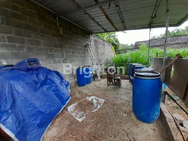 image TANAH PLUS GUDANG + KANDANG KAMBING HYBRID (4)