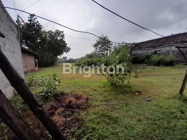 image TANAH PLUS GUDANG + KANDANG KAMBING HYBRID (2)