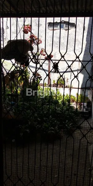 image RUKO RAYA TLOGOMAS (5)