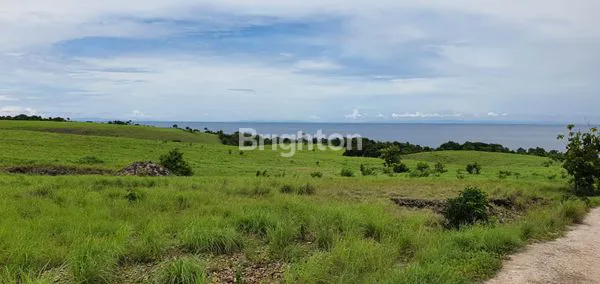 TANAH DI SUMBA DEKAT HOTEL NIHI WATU
