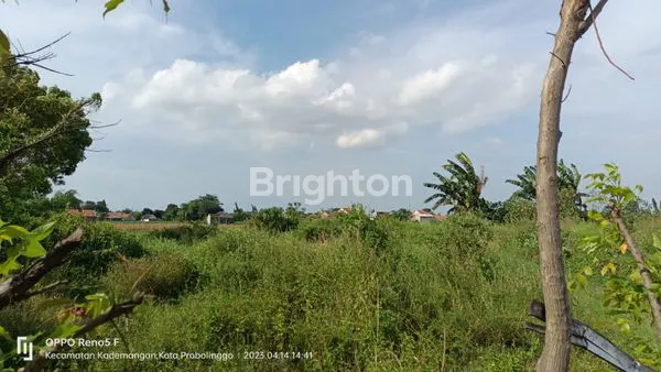 image TANAH KOMERSIL NOL JALAN RAYA TENGAH KOTA, PROBOLINGGO (3)