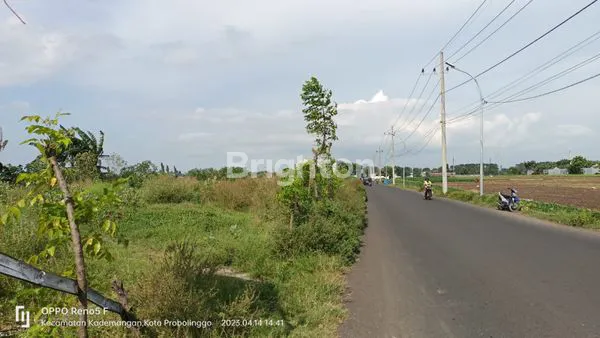 image TANAH KOMERSIL NOL JALAN RAYA TENGAH KOTA, PROBOLINGGO (1)
