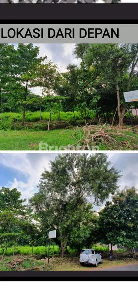 image HAMPARAN TANAH YG TEDUH DENGAN POHON JATINYA DAN TERDAPAT SUMBER AIR YG TAK PERNAH KERING (1)