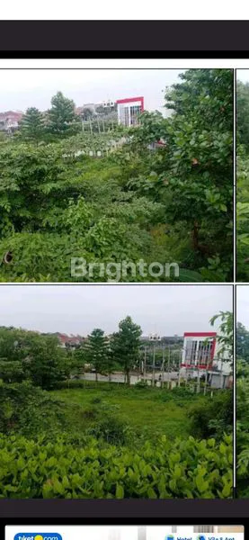 image HAMPARAN TANAH YG TEDUH DENGAN POHON JATINYA DAN TERDAPAT SUMBER AIR YG TAK PERNAH KERING (2)