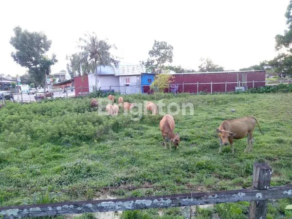 DIJUAL!TANAH KOSONG DI JL.GATOT SOEBROTO BERAU