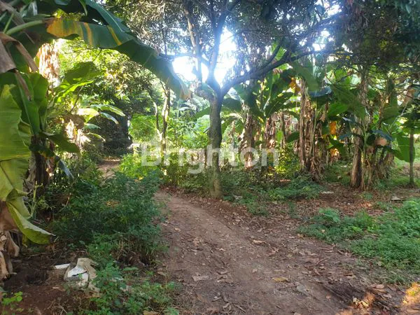 image TANAH DALAM KOMPLEK BISA UNTUK BANGUN MINI CLUSTER BEBAS BANJIR DI JOGLO (3)