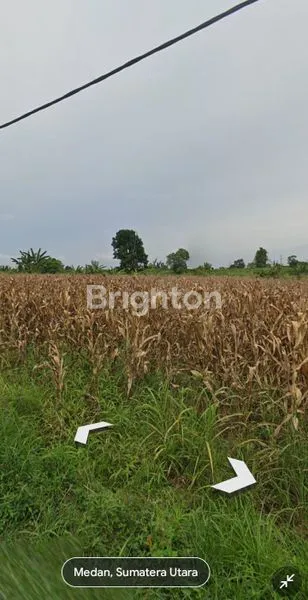 image TANAH COCOK UNTUK PERUMAHAN ELITE (1)