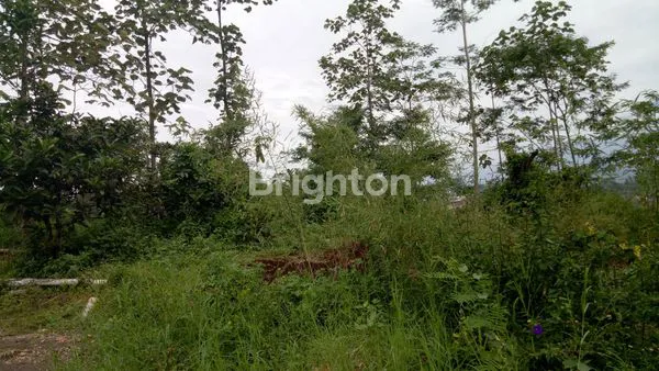 image TANAH SANGAT STRATEGIS HARGA BAWAH PASAR JALAN RAYA TIDAR MALANG (1)