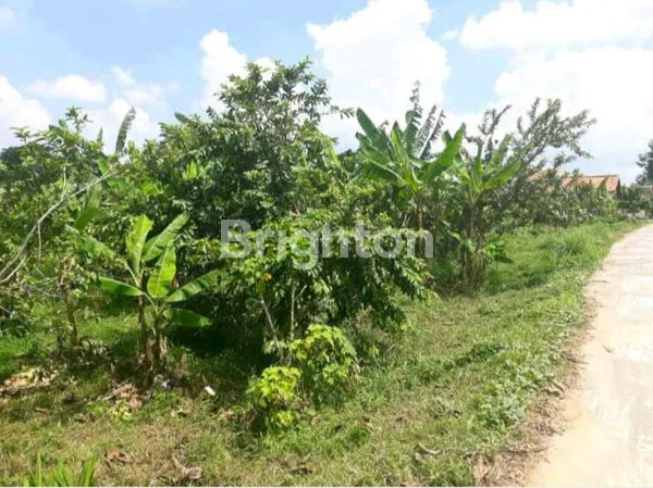 image MURAH TANAH KERAS  LOKASI RAMAI DEKAT PERUMAHAN (1)