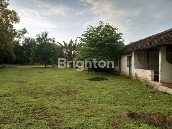 TANAH LUAS BREBEK NGANJUK