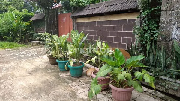 image RUMAH ASRI SANGAT NYAMAN DENGAN HALAMAN YANG LUAS SIAP HUNI (8)