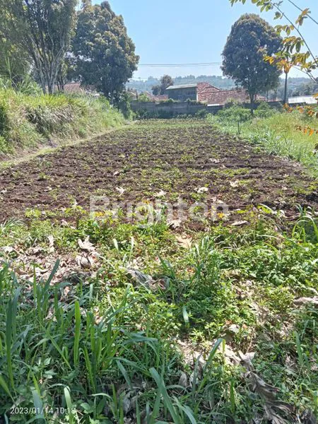 image TANAH LUAS MURAH DEKAT KAWASAN WISATA LEMBANG BANDUNG BARAT (1)