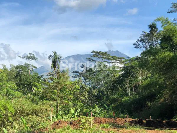 image TANAH KAVLING @SINGOSARI MALANG (3)