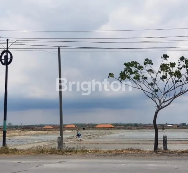 MURAH TANAH TAMBAK NOL JALAN RAYA BANGGI REMBANG, JAWA TENGAH