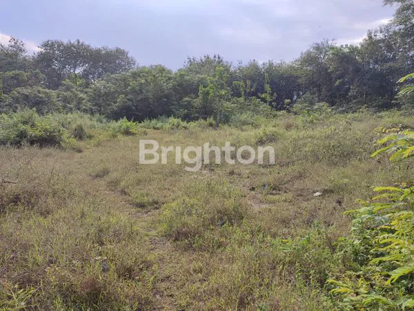 image TANAH DI PUSAT INDUSTRI NGUTER (2)