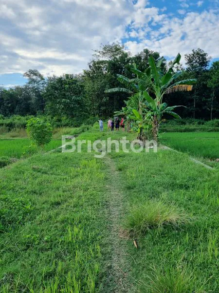 image TANAH DI PUSAT INDUSTRI NGUTER (1)