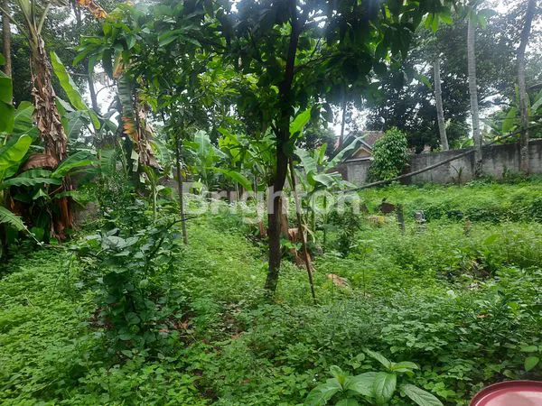 image TANAH + GUDANG TAPOS DEPOK LOKASI STRATEGIS (6)