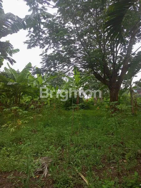 image TANAH KAVLING DAERAH STRATEGIS M TOHA JAKARTA SELATAN (1)