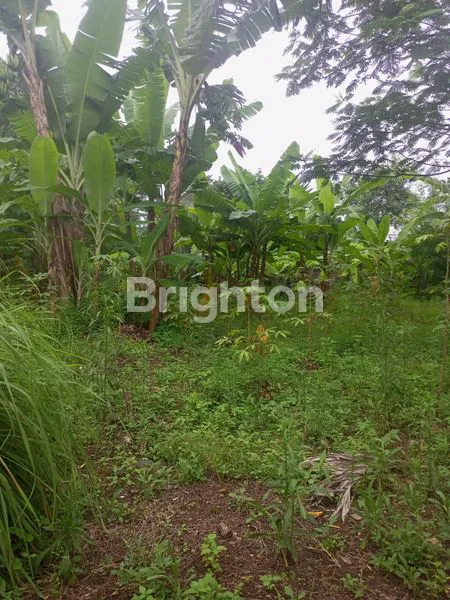 image TANAH KAVLING DAERAH STRATEGIS M TOHA JAKARTA SELATAN (2)