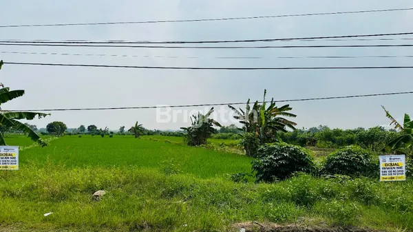 Gambar Property JUAL KAVLING KATIMOHO - RAYA KEDAMAIAN - GRESIK ( COCOK UNTUK GUDANG / PABRIK/ PERUMAHAN)