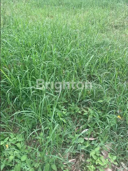 image KAV JEJER KULDESAK METRO PERMATA (1)