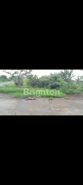 image GUDANG LUAS TERAWAT NOL JALAN RAYA JOMBANG (2)