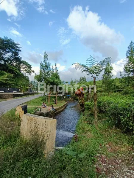 image TANAH DI KEMUNING COCOK UNTUK RESTO TAMPAK 3 MUKA (1)