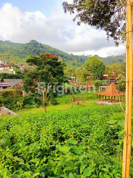 image TANAH DI KEMUNING COCOK UNTUK RESTO TAMPAK 3 MUKA (5)