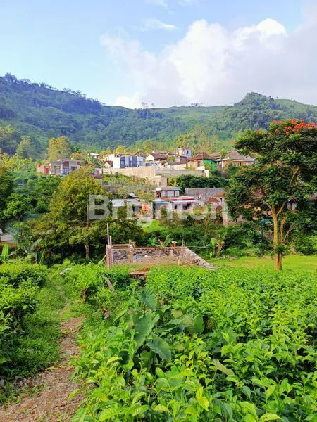 image TANAH DI KEMUNING COCOK UNTUK RESTO TAMPAK 3 MUKA (4)