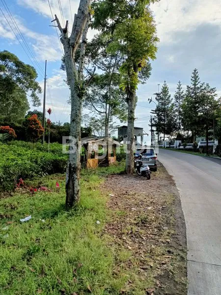 image TANAH DI KEMUNING COCOK UNTUK RESTO TAMPAK 3 MUKA (7)