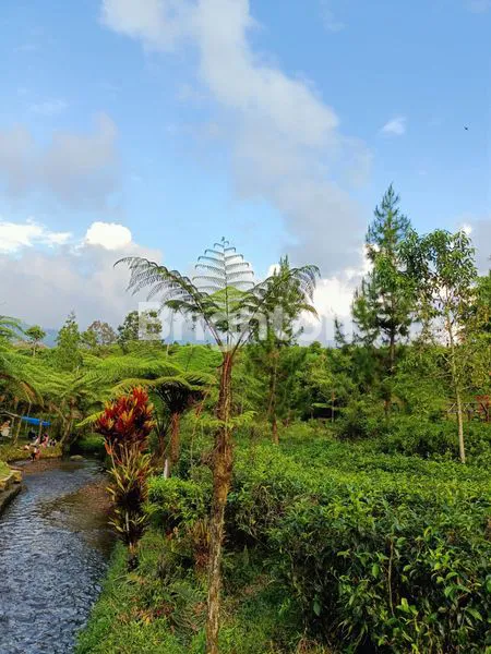 image TANAH DI KEMUNING COCOK UNTUK RESTO TAMPAK 3 MUKA (6)