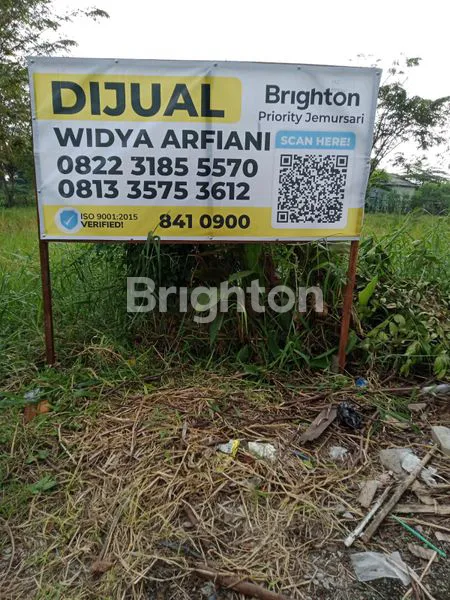 image JUAL CEPAT TANAH SAWAH DI GRESIK  (1)