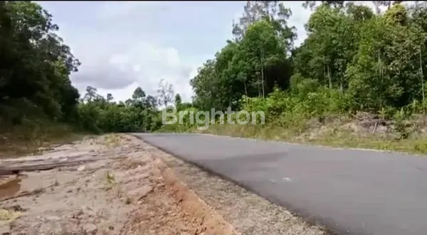 TANAH GUNUNG MAS KALIMANTAN TENGAH