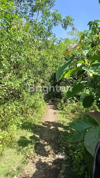 image TANAH KAPLING DEKAT GWK SIAP DIBANGUN VILLA (3)