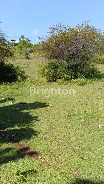 image TANAH KAPLING DEKAT GWK SIAP DIBANGUN VILLA (4)