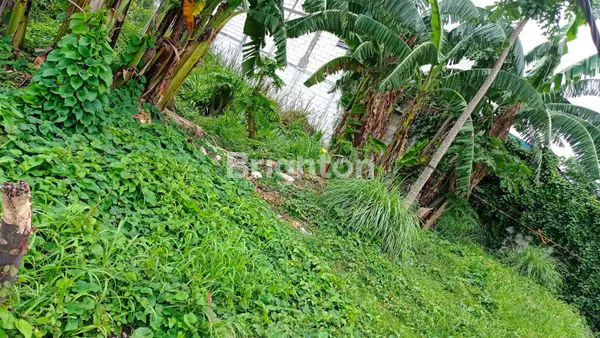 image TANAH RAYA MEDAYU UTARA (4)