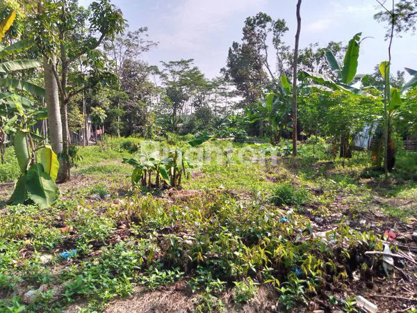 image TANAH SIAP BANGUN DI BELAKANG SABHARA MIJEN (3)