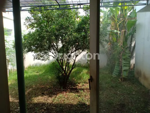 image RUMAH LUAS DI PASURUAN (11)