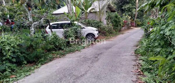 TANAH KEBUN DI TABANN BALI