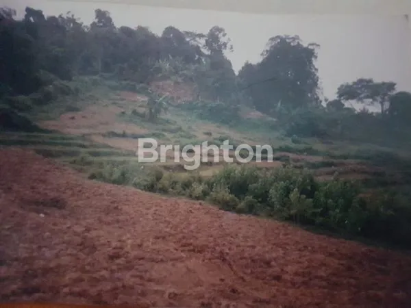 LAHAN TANAH CARIU, BOGOR TIMUR KAMPUNG KARANGSARI DESA MEKAR WANGI