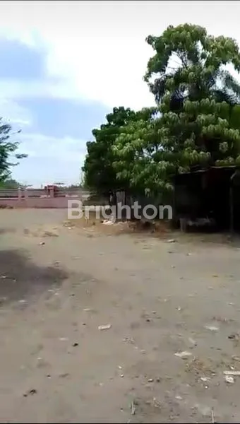 image GUDANG DI DAERAH MABAR (5)