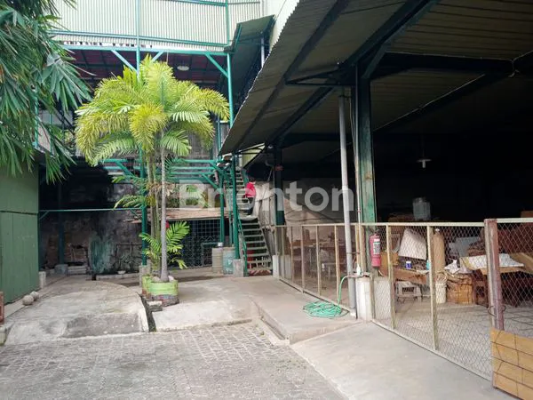 image GUDANG KOKOH & TINGGI (4)