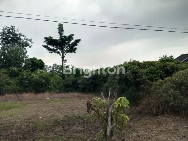 image TANAH LUAS 3 KAPLING AREA TALANG PETAI PLAJU (3)